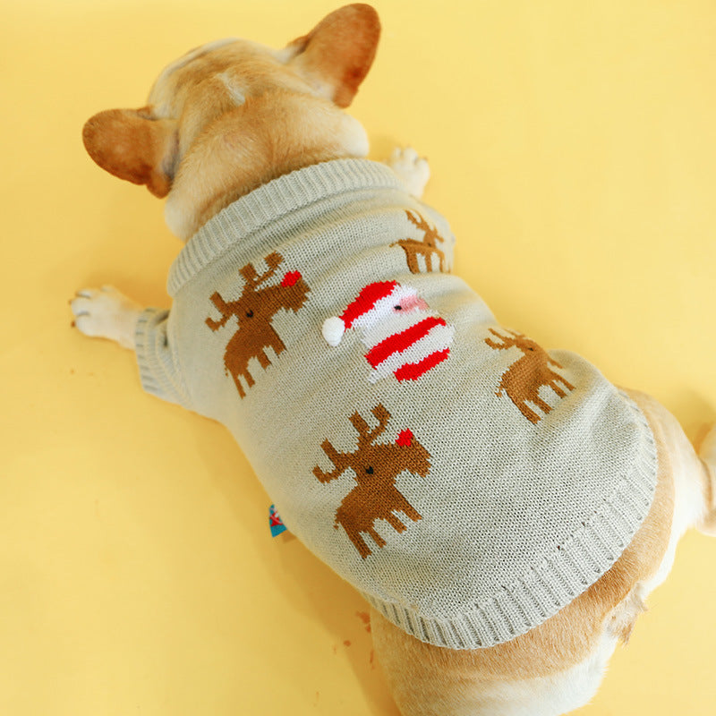 Make This Holiday Season Special for Your Pet!